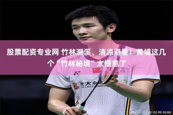 股票配资专业网 竹林溯溪、清凉避暑！黄埔这几个“竹林秘境”太惬意了