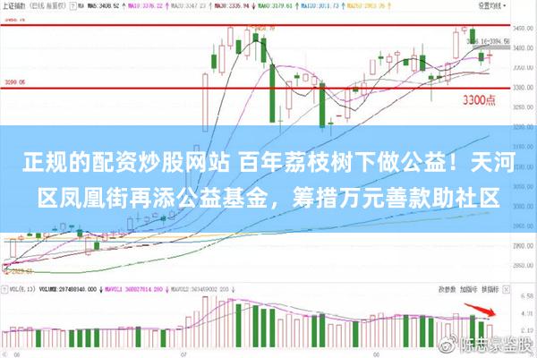 正规的配资炒股网站 百年荔枝树下做公益！天河区凤凰街再添公益基金，筹措万元善款助社区