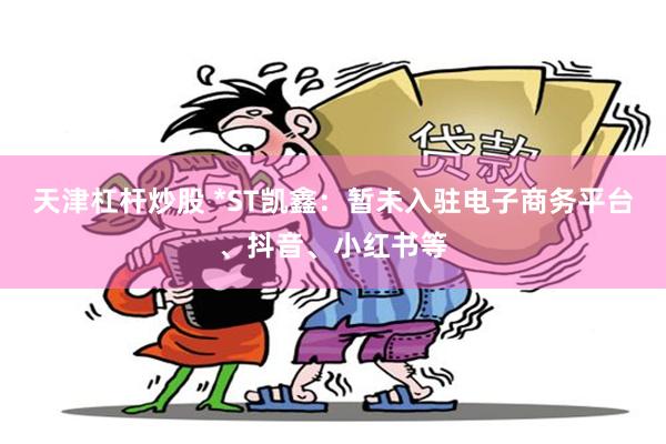 天津杠杆炒股 *ST凯鑫：暂未入驻电子商务平台、抖音、小红书等