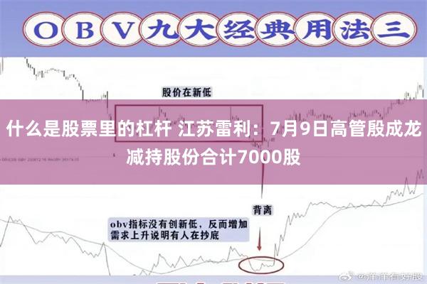 什么是股票里的杠杆 江苏雷利：7月9日高管殷成龙减持股份合计7000股