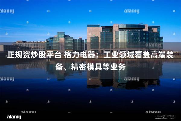 正规资炒股平台 格力电器：工业领域覆盖高端装备、精密模具等业务