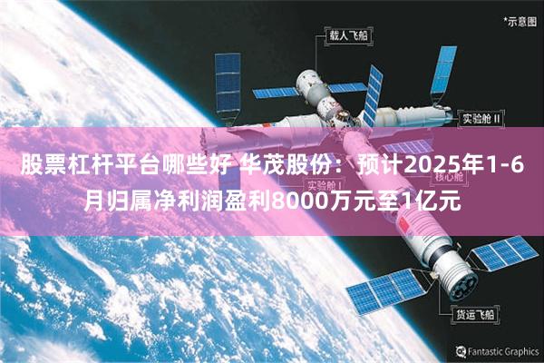 股票杠杆平台哪些好 华茂股份：预计2025年1-6月归属净利润盈利8000万元至1亿元