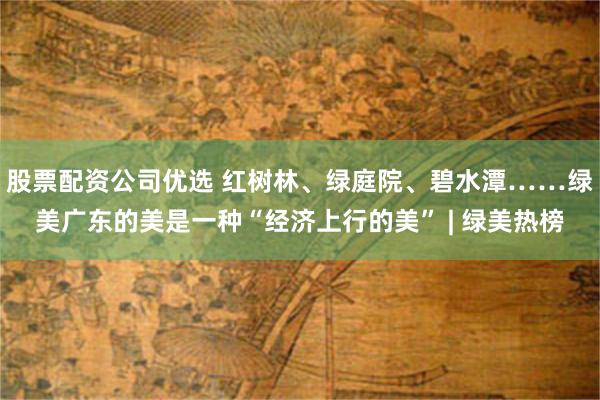 股票配资公司优选 红树林、绿庭院、碧水潭……绿美广东的美是一种“经济上行的美” | 绿美热榜