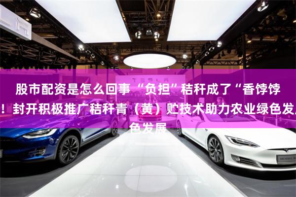 股市配资是怎么回事 “负担”秸秆成了“香饽饽”！封开积极推广秸秆青（黄）贮技术助力农业绿色发展