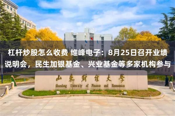 杠杆炒股怎么收费 维峰电子：8月25日召开业绩说明会，民生加银基金、兴业基金等多家机构参与