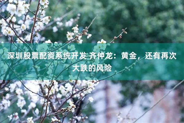 深圳股票配资系统开发 齐仲龙：黄金，还有再次大跌的风险