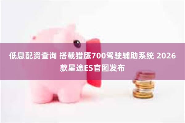 低息配资查询 搭载猎鹰700驾驶辅助系统 2026款星途ES官图发布
