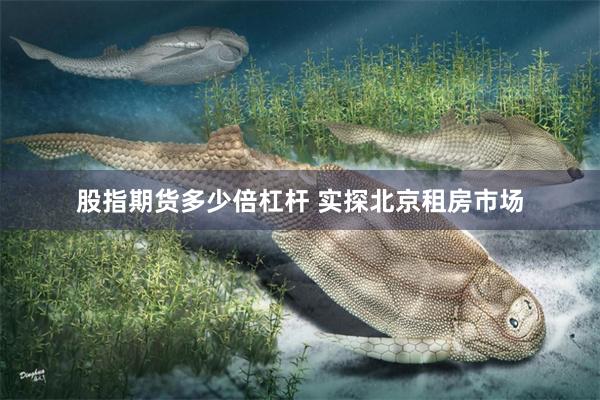 股指期货多少倍杠杆 实探北京租房市场