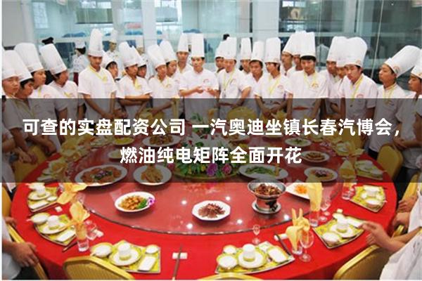 可查的实盘配资公司 一汽奥迪坐镇长春汽博会,燃油纯电矩阵全面开花