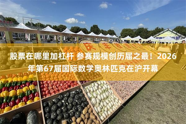股票在哪里加杠杆 参赛规模创历届之最！2026年第67届国际数学奥林匹克在沪开幕