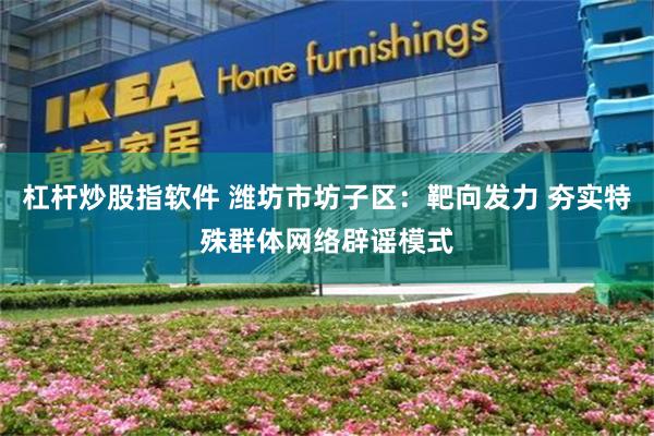 杠杆炒股指软件 潍坊市坊子区：靶向发力 夯实特殊群体网络辟谣模式
