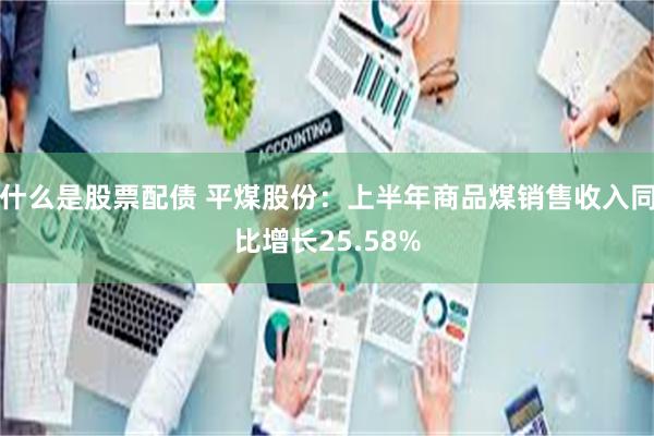 什么是股票配债 平煤股份：上半年商品煤销售收入同比增长25.58%
