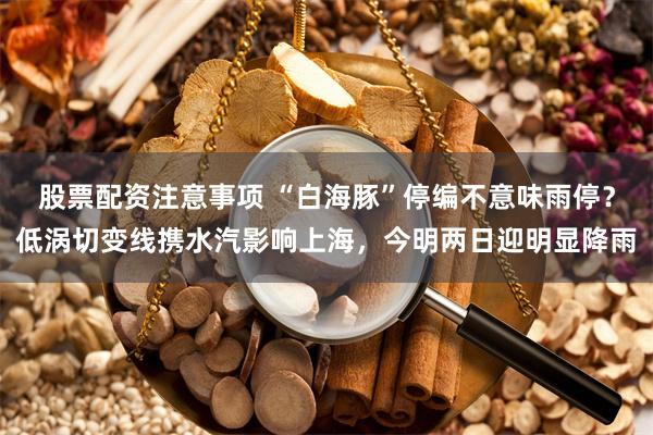 股票配资注意事项 “白海豚”停编不意味雨停？低涡切变线携水汽影响上海，今明两日迎明显降雨