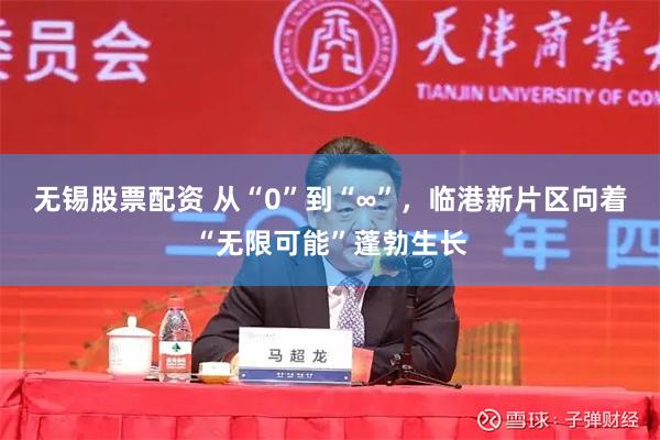 无锡股票配资 从“0”到“∞”，临港新片区向着“无限可能”蓬勃生长