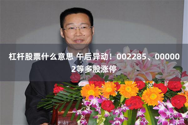 杠杆股票什么意思 午后异动！002285、000002等多股涨停