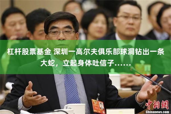 杠杆股票基金 深圳一高尔夫俱乐部球洞钻出一条大蛇，立起身体吐信子……