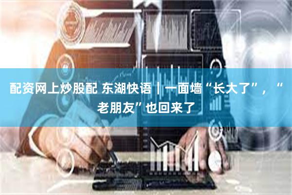 配资网上炒股配 东湖快语|一面墙“长大了”,“老朋友”也回来了