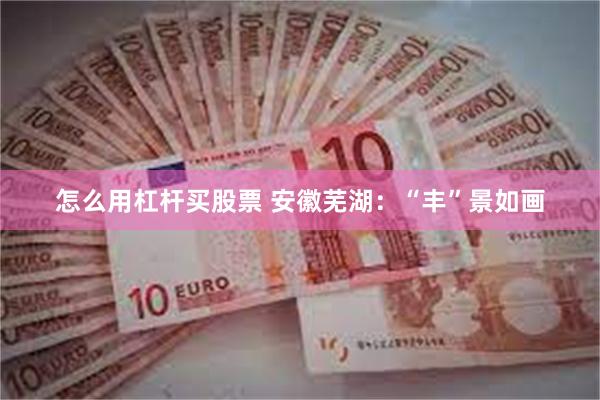 怎么用杠杆买股票 安徽芜湖：“丰”景如画