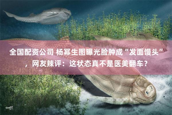 全国配资公司 杨幂生图曝光脸肿成“发面馒头”，网友辣评：这状态真不是医美翻车？