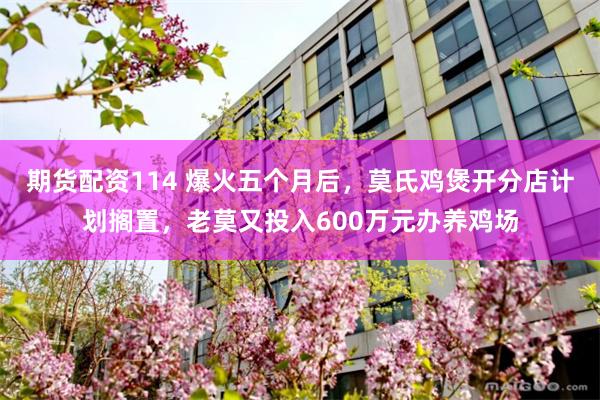 期货配资114 爆火五个月后,莫氏鸡煲开分店计划搁置,老莫又投入600万元办养鸡场